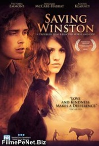 Vezi filmul Saving Winston (2011)