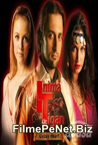 Vezi filmul Inima de tigan - Episodul 12